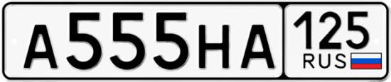 Автомобильный номер А555НА 125