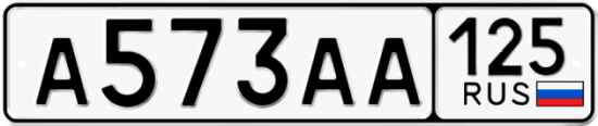 Автомобильный номер А573АА 125