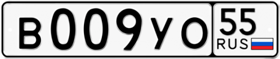 Автомобильный номер В009УО 55