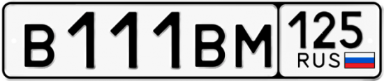 Автомобильный номер В111ВМ 125