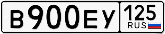 Автомобильный номер В900ЕУ 125