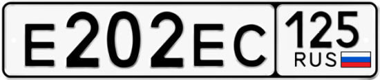 Автомобильный номер Е202ЕС 125