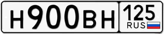 Автомобильный номер Н900ВН 125