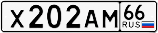 Автомобильный номер Х202АМ 66