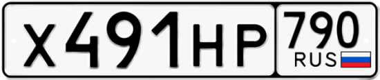 Автомобильный номер Х491НР 790
