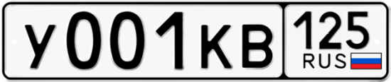 Автомобильный номер У001КВ 125