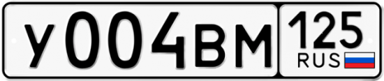 Автомобильный номер У004ВМ 125